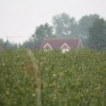 Haus Bootsmann Casa vacanze *